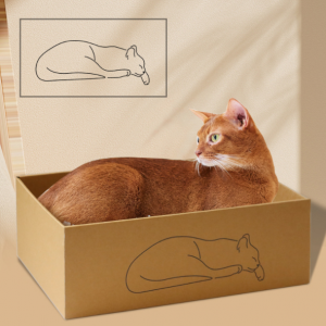Simple Cat Scratch Board Box